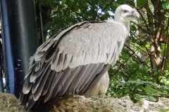 20190907_145733