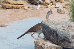 20190907_154234