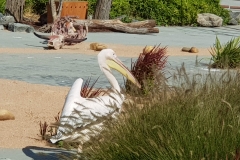 20190907_155402