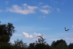 20190907_155927