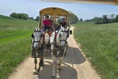 IMG-20260530-WA0002