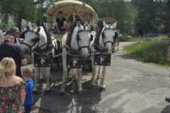 IMG-20260530-WA0009