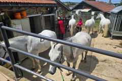 IMG-20260530-WA0012