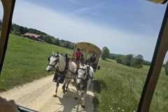 IMG-20260530-WA0017